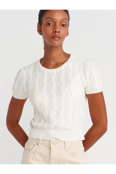 Dilvin Bisiklet Yaka Dokulu Triko Bluz 10788